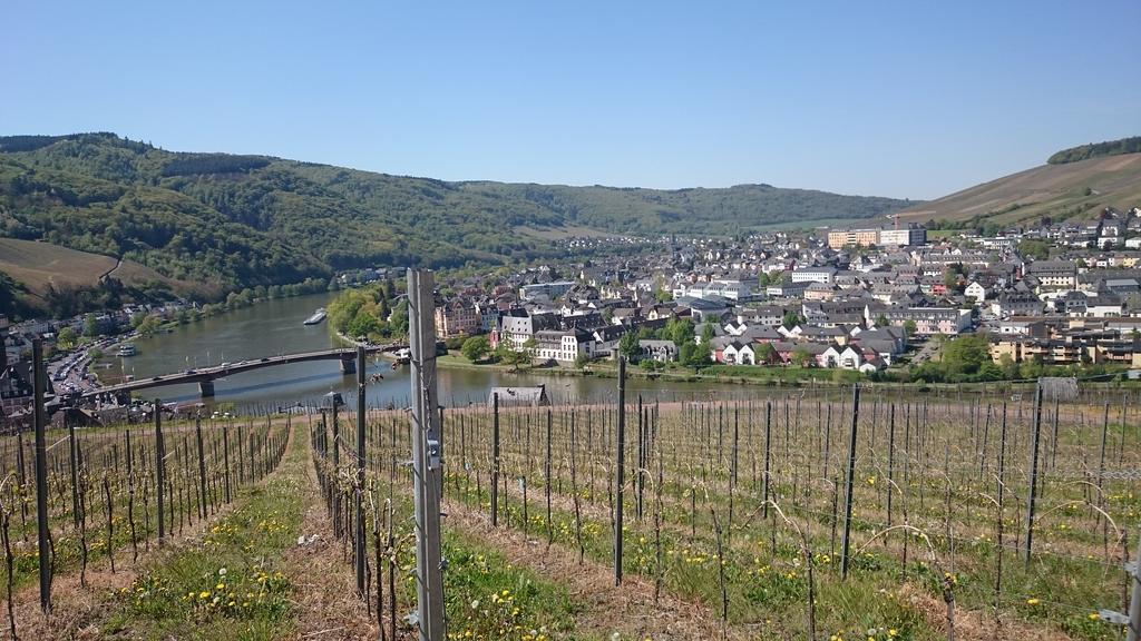 Gastehaus Am Schlossberg Verbandsgemeinde Verbandsgemeinde Bernkastel-Kues Buitenkant foto