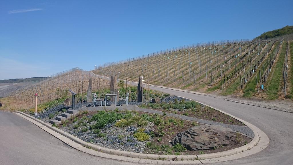 Gastehaus Am Schlossberg Verbandsgemeinde Verbandsgemeinde Bernkastel-Kues Buitenkant foto