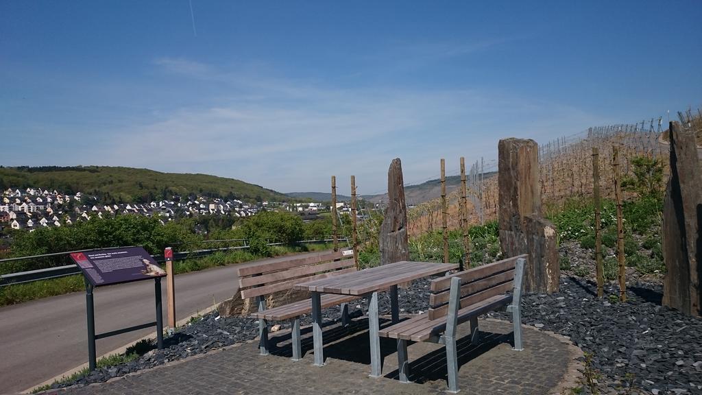 Gastehaus Am Schlossberg Verbandsgemeinde Verbandsgemeinde Bernkastel-Kues Buitenkant foto